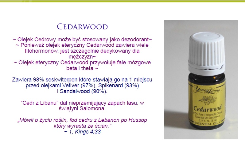 cedarwood3
